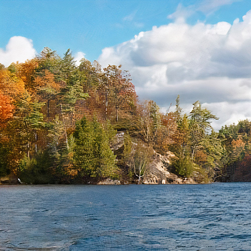 Trees in the autumn, with a river flowing in front of them.