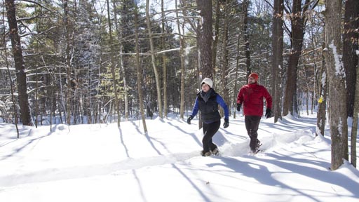 Two people walking through snow in a forest.